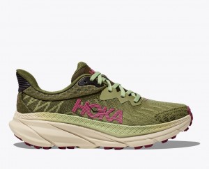 Women's HOKA Challenger 7 Trail Running Shoes Olive Green | TCUSK-3107