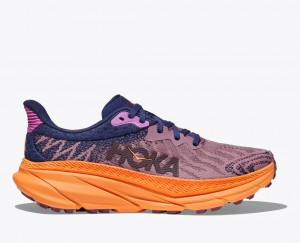 Women's HOKA Challenger 7 Trail Running Shoes Light Purple / Navy | NVBLT-9085